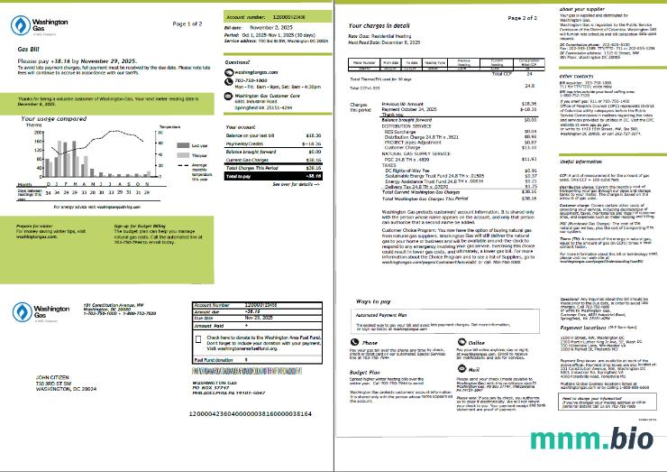 USA Washington gas rachunek za media szablon w formacie Word i PDF, 2 strony